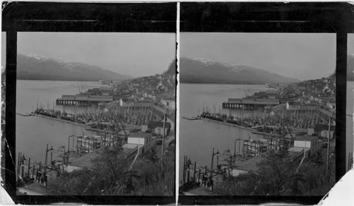 150 Vessels of the Pacific Fishing Fleet Crowded in the City Float, Ketchikan, Alaska