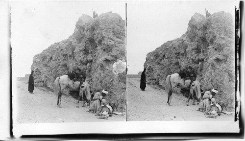 The good Samaritan on road to Jericho. Palestine