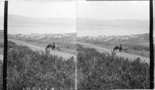 Scene in Palestine