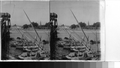 Fishing boats in the harbor of Santa Cruz