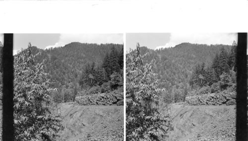 Tennessee - - Long view from the road between Newfound Gap on the North Carolina side of the Great Smokies and Clingman's Dome on the Tennessee side. This valley is known as Indian Gap