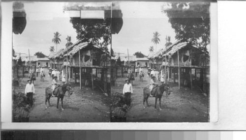 Houses on stilts where laborers' families live - cacao plantation, La Clemetina, Ecuador