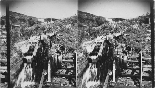 James Peak Gold Mine, Alice, Colo