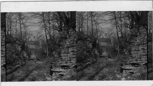 Rock Canyon at the Sag [limestone canyon], looking North, Chicago, Ill