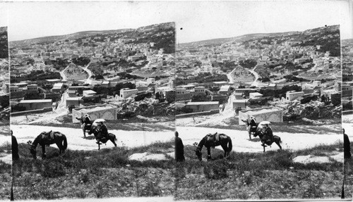 Nazareth, the home of the Child Jesus (from the N. E.) Palestine