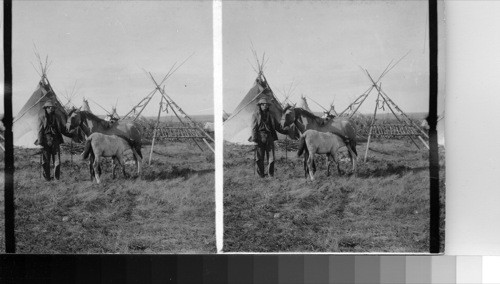 Indian Teepes [Tipis], Alberta, Canada