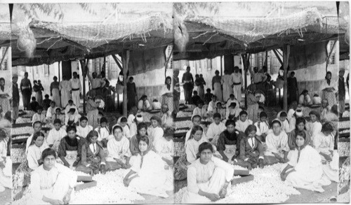 Sorting cocoons for silk manufacture, Mt. Lebanon, the greatest industry of that section. Syria