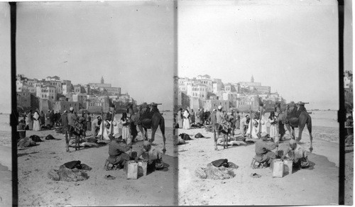 Jaffa from the Mediterranean Sea Palestine