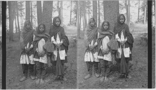 Himalayan Beauties - Sipi Fair, India