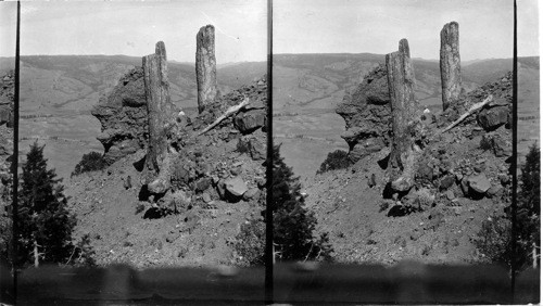 Petrified tree trunks showing parts of the roots and beside them a weathered fragment of the volcanic scoria which overflowed the ancient forest. Petrified Forest, Specimen Ridge, Yellowstone Nat. Park., Wyo. (View looking N. Elev. about 7,500 ft. Lat. 45N.; Long. 110W.)