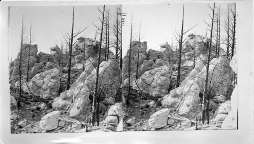 Limestone Hoodoos, Silver Gate Road. Yellowstone National Park