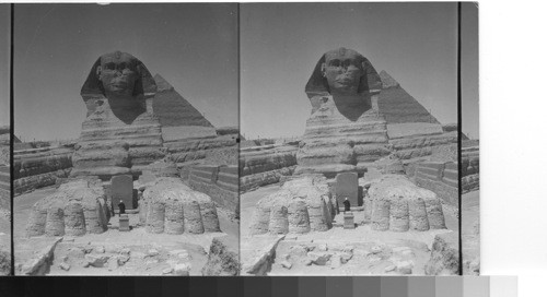 Looking West - the Sphinx. Gizeh, Egypt. 472 World Tour