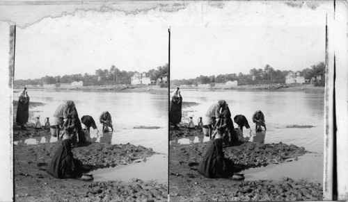 Picturesque Hillah on the Euphrates below Babylon, Mesopotamia