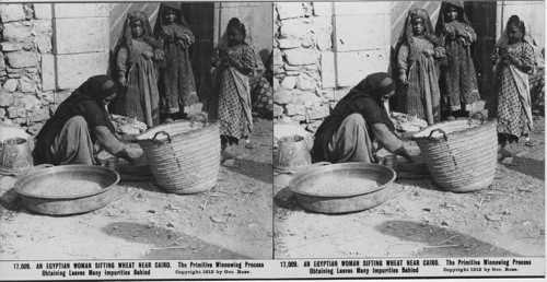 Inscribed in recto: 17,009. AN EGYPTIAN WOMAN SIFTING WHEAT NEAR CAIRO. The Primitive Winnowing Process Obtaining Leaves Many Impurities Behind. Copyright 1912 by Geo. Rose