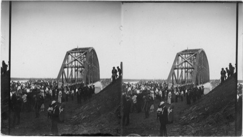 Scene of Pres. Harding at Tenana Bridge gold spike driving. Alaska