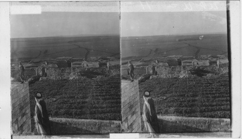 Modern Medeba on Site of Old Moabite Town; Outlook S. towards Dibon ...