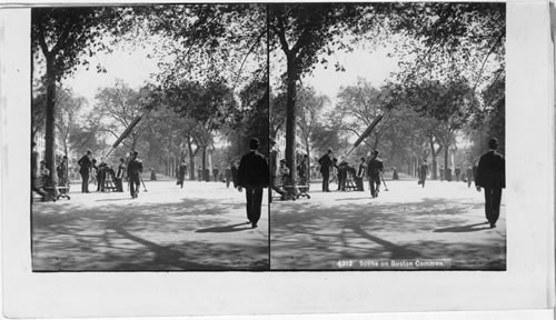 Scene on Boston Common, Boston