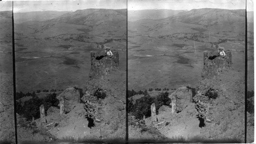 Four petrified tree trunks near together on the slope of Specimen Ridge in the Petrified Forest, Yellowstone Nat. Park, Wyo. The largest trunk, at the right, is more than six feet in diameter. The valley of the Lamar River, which we see to the N. of us is nearly 1,500 ft. below the point where we are standing (Elev. 7,500 ft. Lat 45N; Long. 110W)