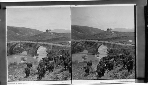 Bridge over the Litany River near the Lebanon Range, Syria