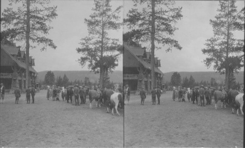 Saddle Horses in Front of Old Faithful Inn with Party Getting Ready for Trip