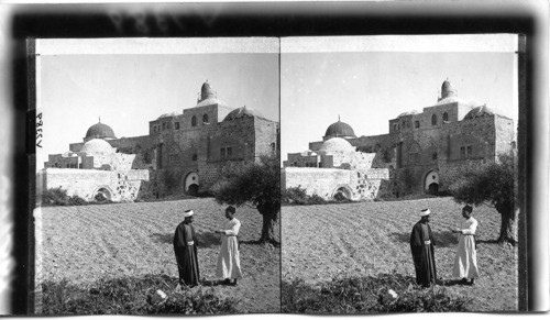 The Tomb of David, Jerusalem, Palestine