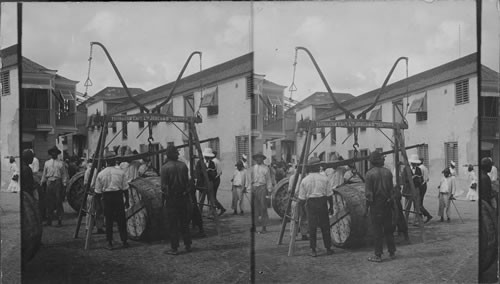 Weighing the sugar for shipment. Bridgetown. Barbados