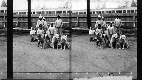 Esquimau Children and Dogs, Columbian Exposition