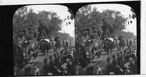 Elephant Procession Great Durbar Delhi, India. Jan 1903?