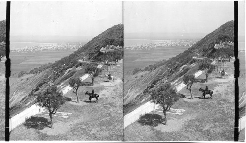 Haifa and Bay of Akka, east from Mt. Carmel. Palestine