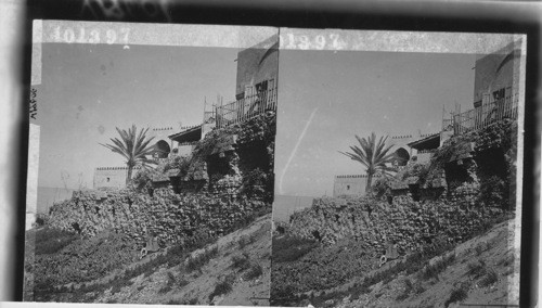 Section of the old wall. Jaffa. Palestine