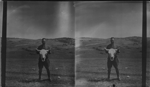 T.M. Galey holds buffalo skull near Medicine Mt., Wyoming