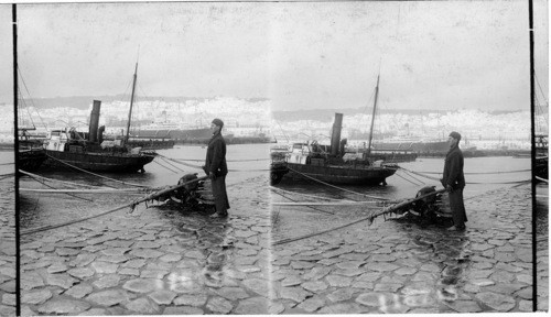 Algiers with steamship “Arabic” in harbor, seen from the breakwater, Algiers