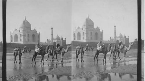 The Taj Mahal from the Jumma - S.W. Agra, India