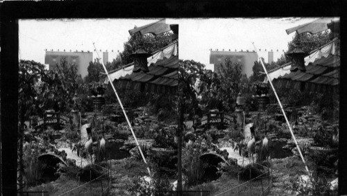 Japanese Gardens, Horticulture Exhibit, A Century of Progress, Chicago, 1933