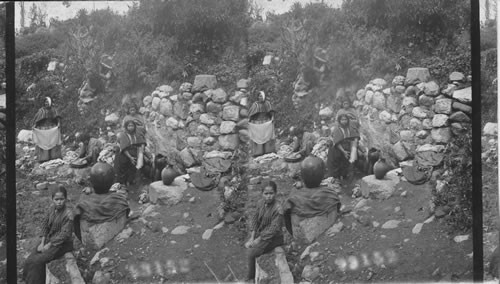 Wash Day. Cuzco. Peru