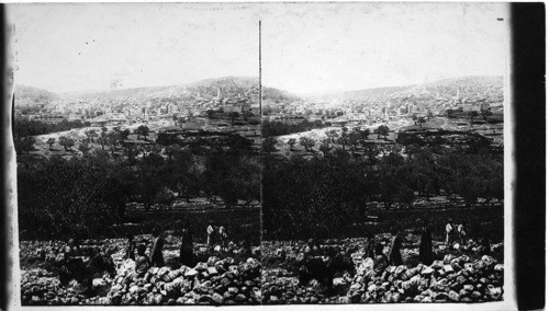 Hebron, The Home of Abraham, Isaac and Jacob, from the East, Palestine