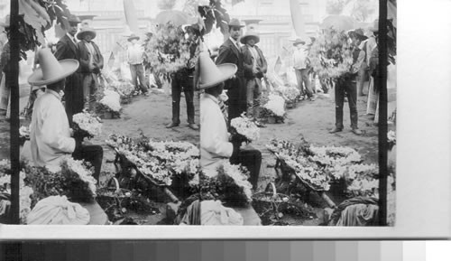 A Flower Market. Mexico