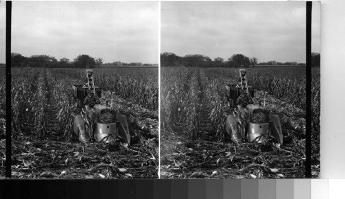 Corn Husking Machine in Field in Illinois