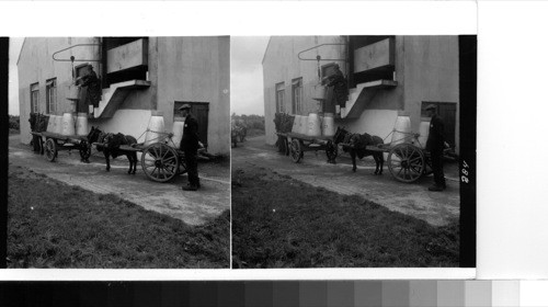 Near Cahir: farmers receiving their milk, which they brought to the creamery for pasteurization, after the process has been completed