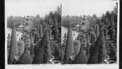 A poem in trees, Hunnwell's Grounds, Wellesley, Mass