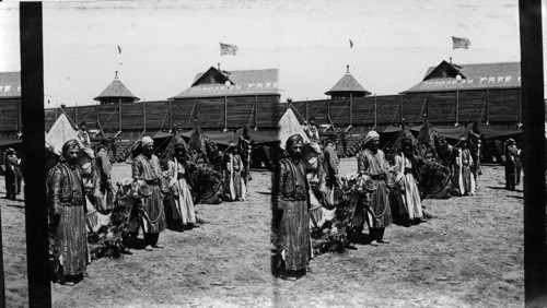 Arabs and Camels waiting for Passengers through Cairo St., Columbian Exposition