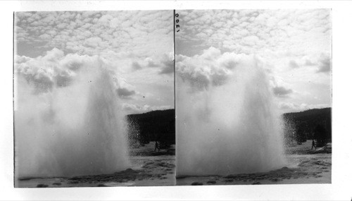 The Great Fountain Geyser in Eruption, Firehole Geyser Basin