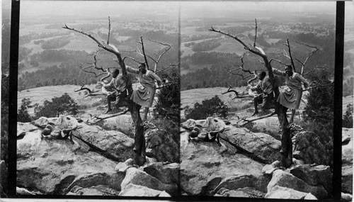 View from the top of Stone Mountain neat Atlanta, GA. Georgia's land viewed from the top of stone mountain 18 miles n.e. of Atlanta, Georgia