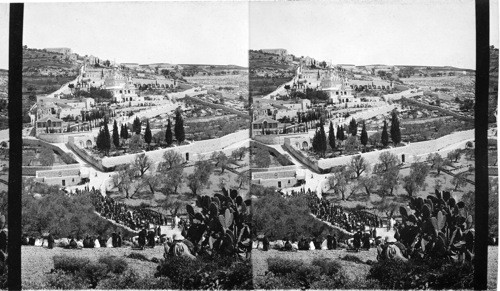 Garden of Gethsemane and Mount of Olives. Jerusalem. Palestine