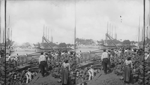 Unloading "cardiff briquettes" or patent coal, Bridgetown, Barbados