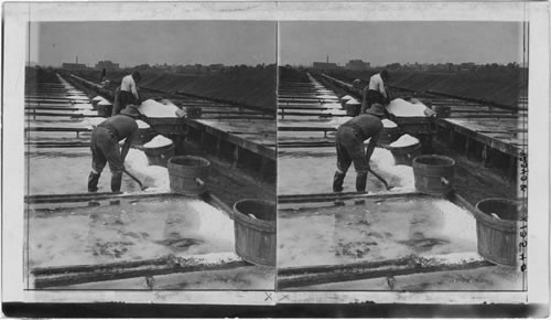 Salt Vats Where the Water is Evaporated by Solar Heat, Syracuse, N.Y