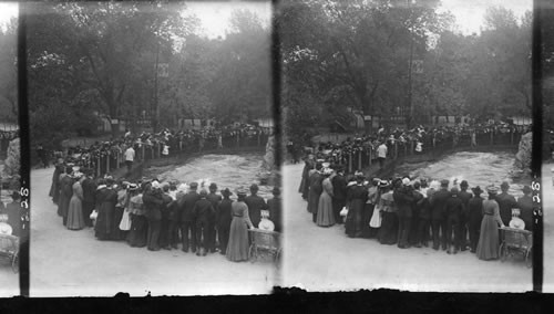 Feeding the sea lions, Lincoln Park, Chicago