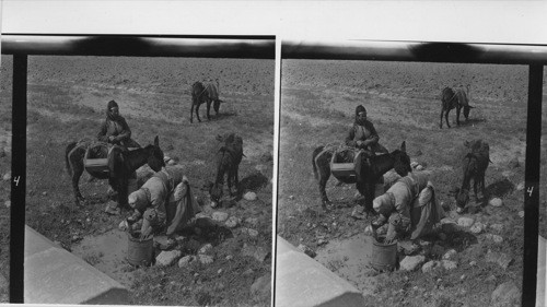 4 Water in Anatolia is precious. These village women come to a puddle 2 miles from the village to fetch the precious liquid, using the most primitive containers. With a tin-plate the water is being scooped into a small metal drum