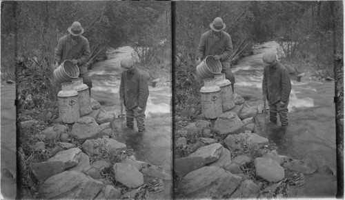 A shipment of small trout at its destination. Care must be used in transferring them to the stream. Water is taken from the stream and poured into the can because of difference in temperature and difference in the water, making a gradual change. (Hatchery - Wayne County, Penna.)