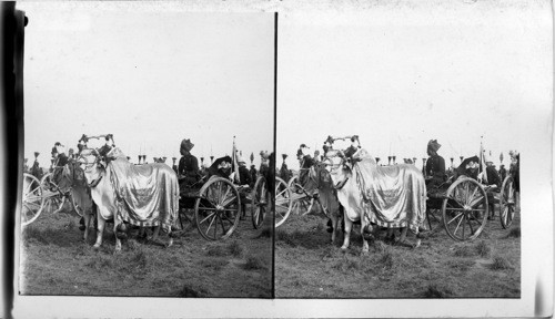 Silver Cannon of Maharaja of Baroda, Durbar, Delhi